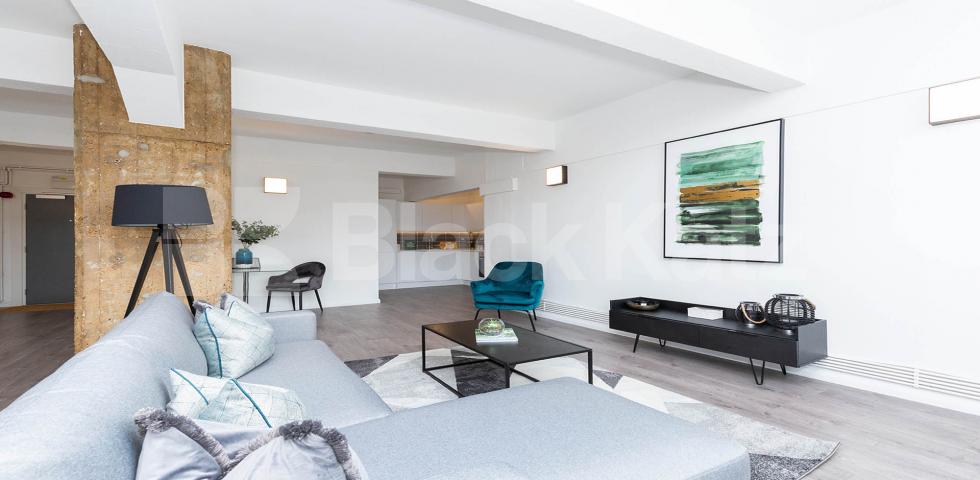 			LARGE STUDIO PROPERTY!, Studio Apartment, 1 bath, 1 reception Apartment			 ABILITY VIEW-KINGSLAND ROAD, DALSTON/HAGGERSTON